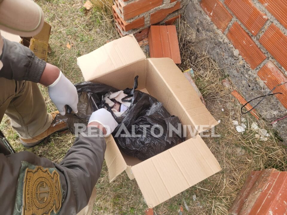 Recien nacida hallada sin vida en Viacha