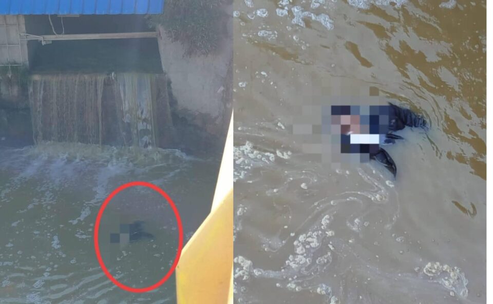 Encuentran un cadáver en rio Seke