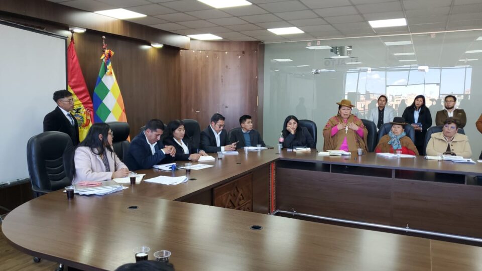 Susy Brañez concejal de El Alto